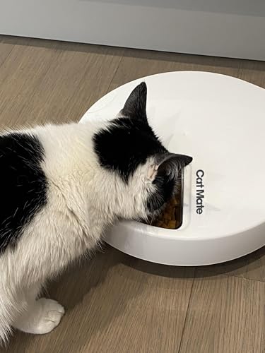 Cat Mate C500 Automatischer Futterautomat mit Digitalem Timer und 5 Näpfen – Für Katzen und Kleine Hunde, Nass- oder Trockenfutter, Inklusive Zwei Kühlakkus, 5 Mahlzeiten Bis zu 330 g Pro Stück, Weiß