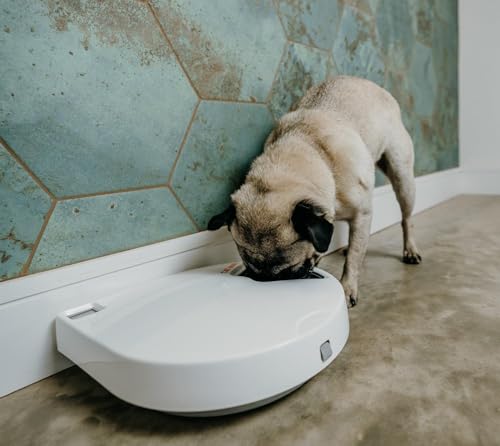 Cat Mate C500 Automatischer Futterautomat mit Digitalem Timer und 5 Näpfen – Für Katzen und Kleine Hunde, Nass- oder Trockenfutter, Inklusive Zwei Kühlakkus, 5 Mahlzeiten Bis zu 330 g Pro Stück, Weiß