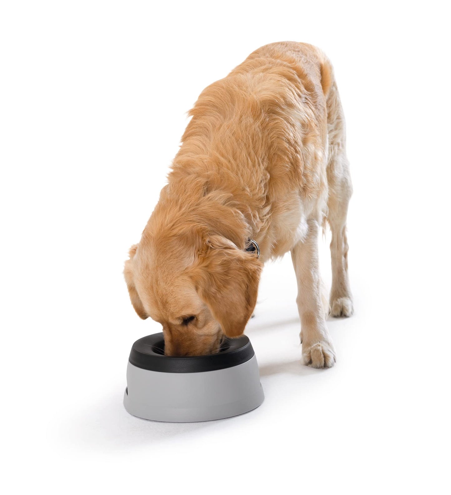 HUNTER Reisenapf ROAD REFRESHER, 1400 ml Fassungsvermögen, ideal für unterwegs und Autofahrten, innovativer Auslaufschutz durch Schwapp-Stopp-Einsatz, sicherer Stand dank Klett, leicht zu reinigen